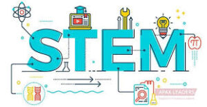 Giáo dục STEM là gì? Các thành phần trong giáo dục STEM