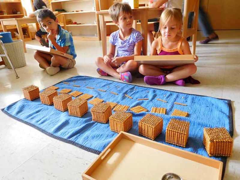 Mô hình Montessori không phù hợp với tất cả học sinh 